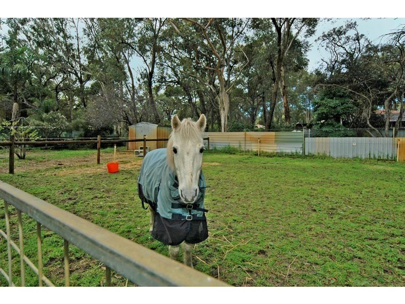 29 Bushland Retreat, Carramar WA 6031