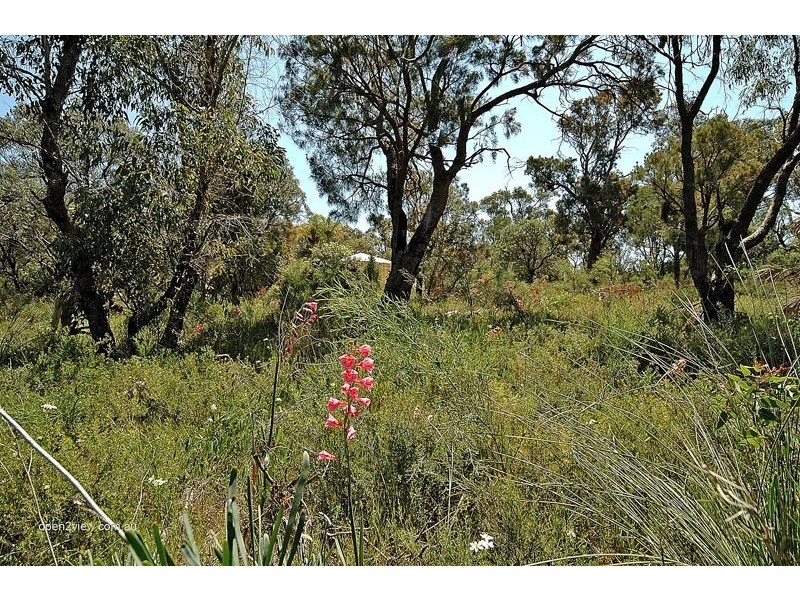 29 Aquanita Place, Wanneroo WA 6065