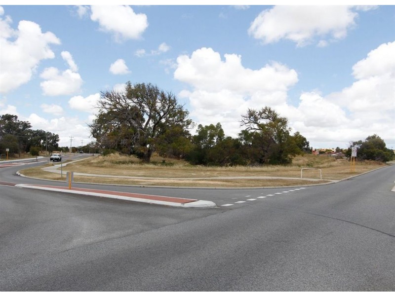 117 Duffy Terrace, Woodvale WA 6026