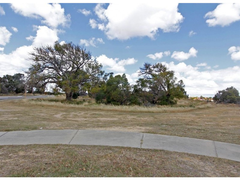 117 Duffy Terrace, Woodvale WA 6026