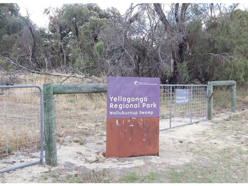 117 Duffy Terrace, Woodvale WA 6026