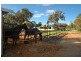 333 Badgerup Road, Wanneroo WA 6065
