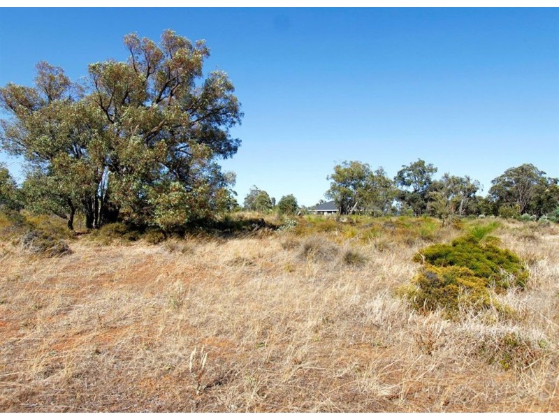 150 Chardonnay Drive, Lower Chittering WA 6084