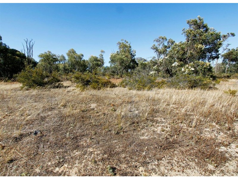 150 Chardonnay Drive, Lower Chittering WA 6084