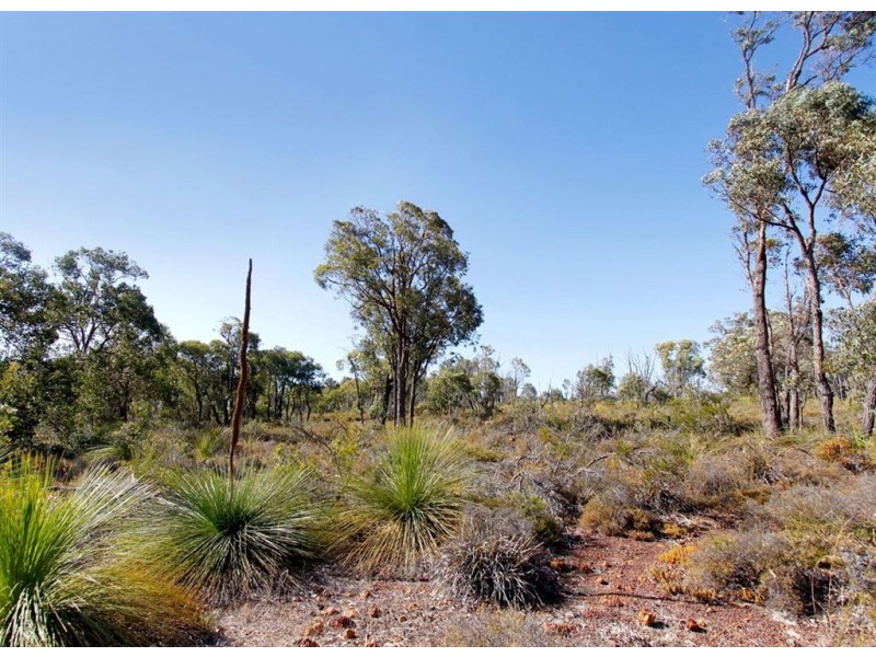 150 Chardonnay Drive, Lower Chittering WA 6084