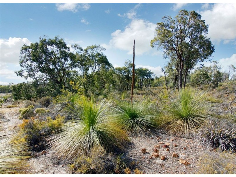 150 Chardonnay Drive, Lower Chittering WA 6084