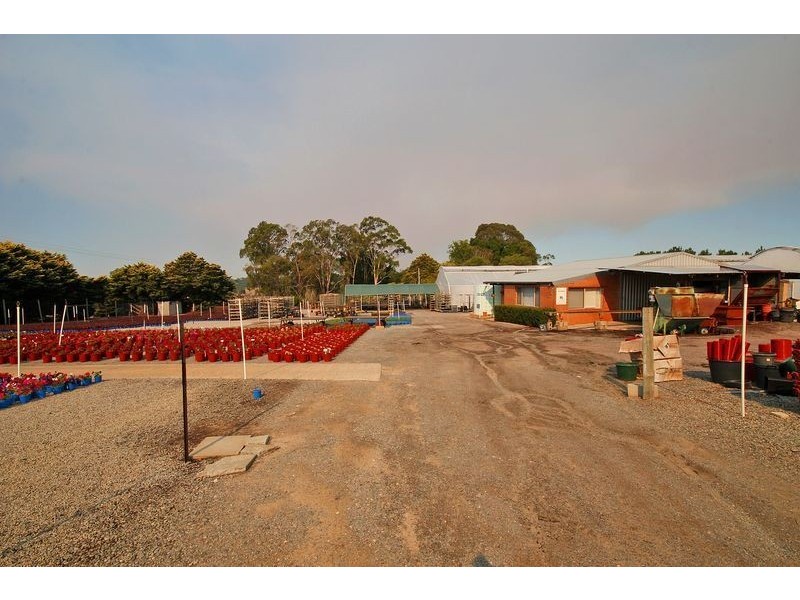 82 Coogee Road, Mariginiup WA 6065