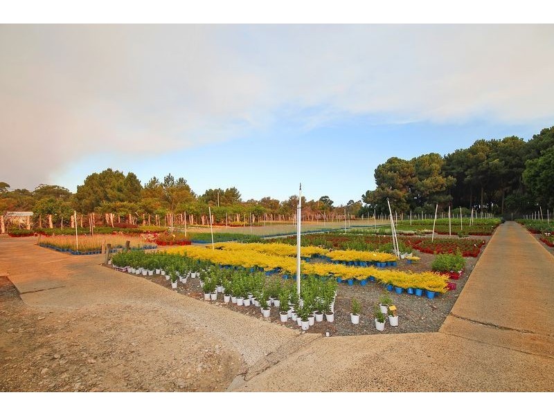 82 Coogee Road, Mariginiup WA 6065