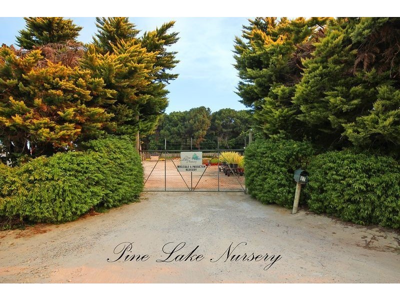 82 Coogee Road, Mariginiup WA 6065