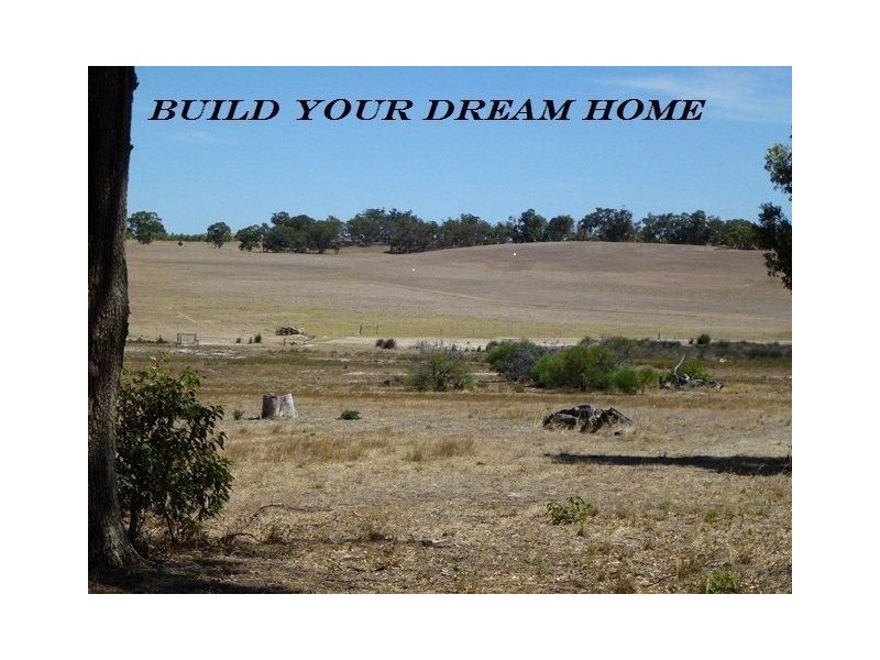 124 Patens Drive, Lower Chittering WA 6084