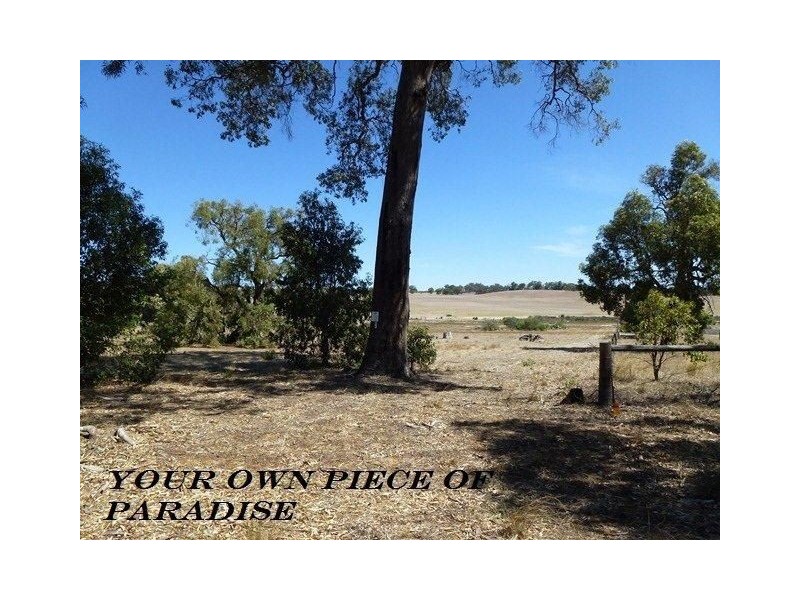 124 Patens Drive, Lower Chittering WA 6084