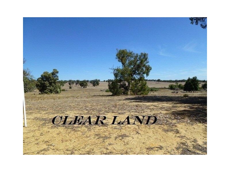 124 Patens Drive, Lower Chittering WA 6084