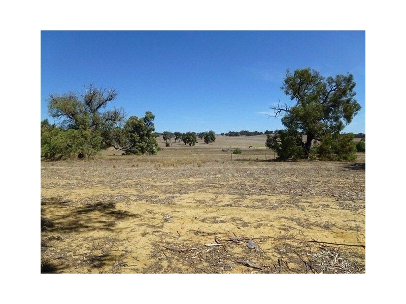 124 Patens Drive, Lower Chittering WA 6084