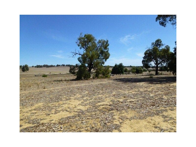 124 Patens Drive, Lower Chittering WA 6084