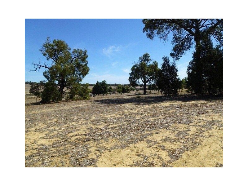 124 Patens Drive, Lower Chittering WA 6084