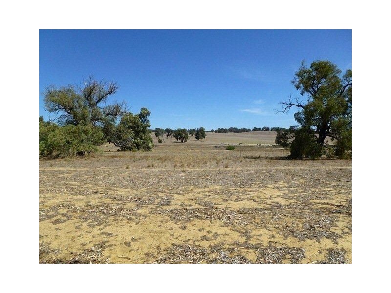 124 Patens Drive, Lower Chittering WA 6084