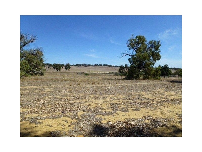 124 Patens Drive, Lower Chittering WA 6084