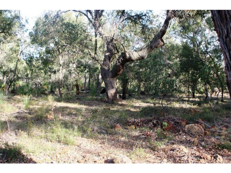 207 Holstein Loop, Lower Chittering WA 6084