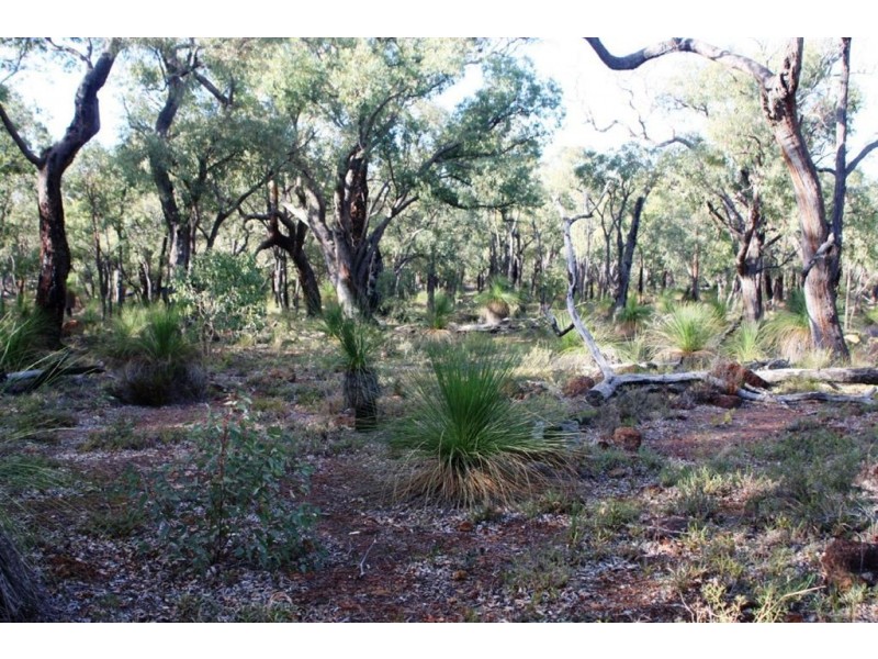 207 Holstein Loop, Lower Chittering WA 6084