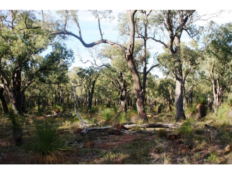 207 Holstein Loop, Lower Chittering WA 6084
