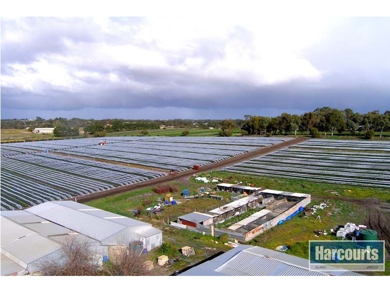 96 Ross Street, Gnangara WA 6077