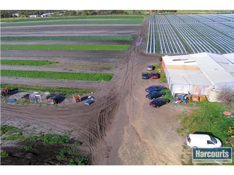 96 Ross Street, Gnangara WA 6077