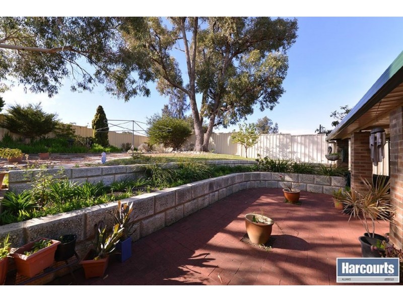 47 Camberwarra Drive, Craigie WA 6025