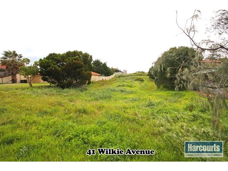 41 Wilkie Avenue, Yanchep WA 6035