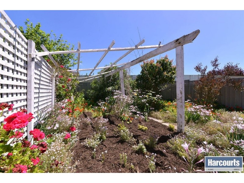 10 Scarp Close, Edgewater WA 6027