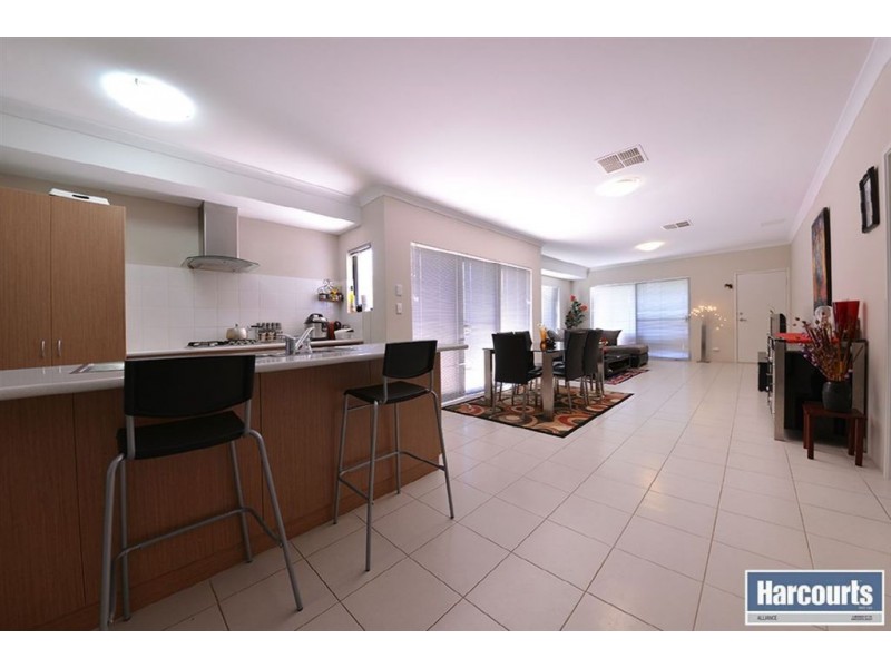 21 Paludosa Link, Banksia Grove WA 6031