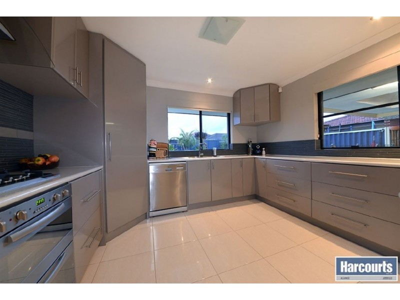 19 Elderiana Link, Banksia Grove WA 6031