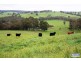 Prop Lt 10 Nioka Drive, Donnybrook WA 6239