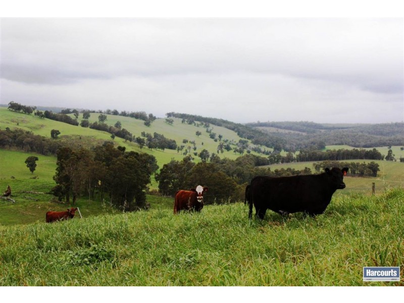 Prop Lt 10 Nioka Drive, Donnybrook WA 6239