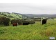 Prop Lt 10 Nioka Drive, Donnybrook WA 6239