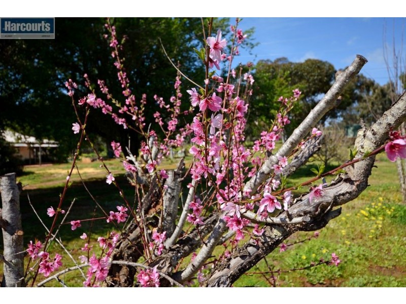 782 Wells Glover Road, Bindoon WA 6502