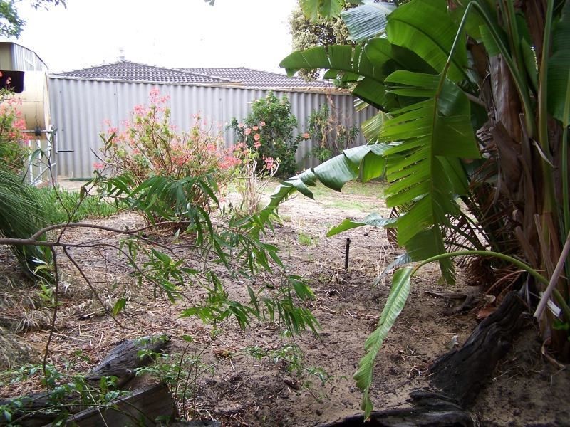 21 Warrandyte Drive, Craigie WA 6025