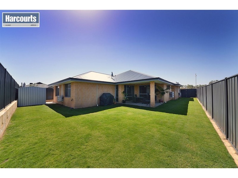 42 Salwood Loop, Banksia Grove WA 6031