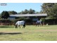 3 Bonita Road, Bullsbrook WA 6084