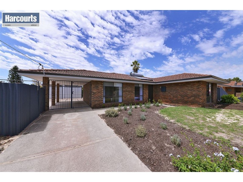 24 Allambie Drive, Craigie WA 6025