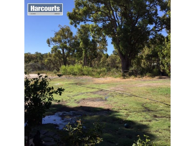 60 Salmon Gum Crescent, Chittering WA 6084