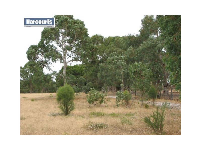 131 Mariginiup Road, Mariginiup WA 6078