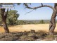 Lot 225 Jacaranda Close, Chittering WA 6084