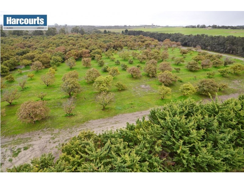 235 McLennan Drive, Nowergup WA 6032