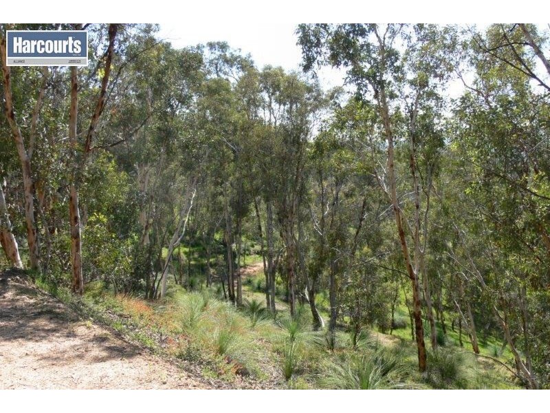 41 Morley Road, Lower Chittering WA 6084