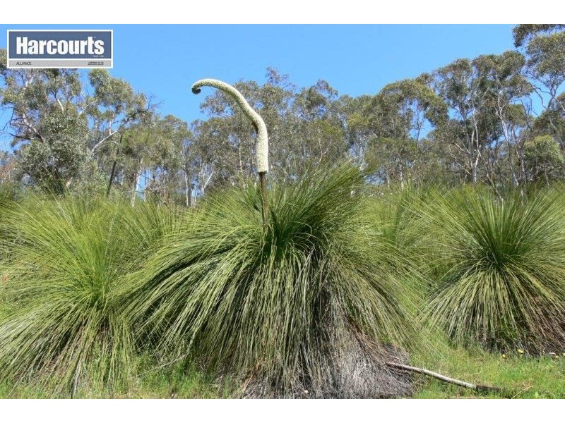 41 Morley Road, Lower Chittering WA 6084