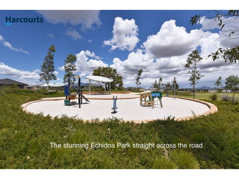 23 Willard Circuit, Banksia Grove WA 6031