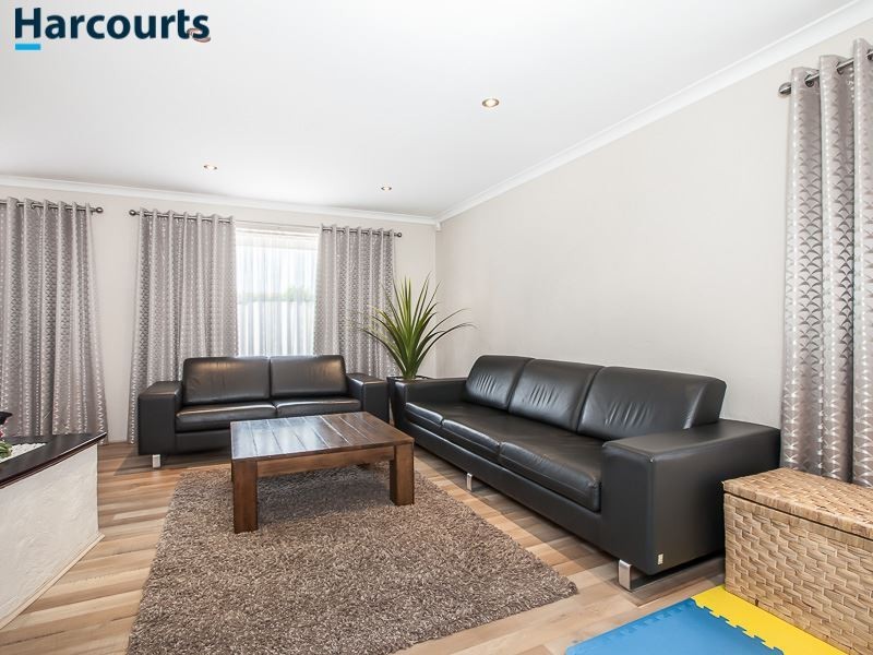 3 Tipuana Place, Edgewater WA 6027