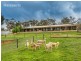 39 Taylor Road, Bullsbrook WA 6084