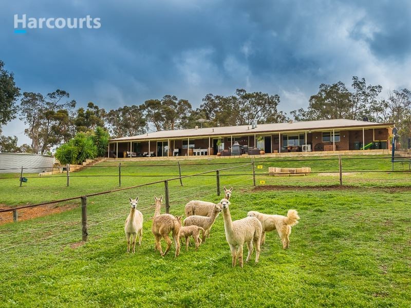 39 Taylor Road, Bullsbrook WA 6084
