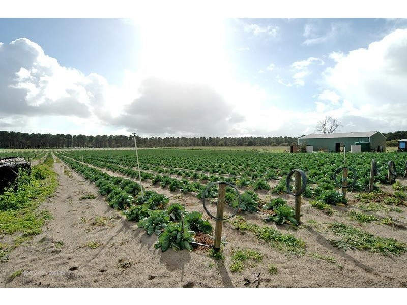 297 Carabooda Road, Carabooda WA 6033